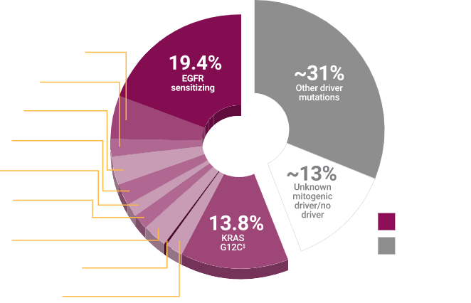 Mutations in patients with mNSCLC of adenocarcinoma histology pie chart Mutations in patients with mNSCLC of adenocarcinoma histology pie chart