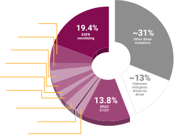 Mutations in patients with mNSCLC of adenocarcinoma histology pie chart Mutations in patients with mNSCLC of adenocarcinoma histology pie chart